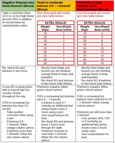 Sick day rules for children and young people with diabetes ...